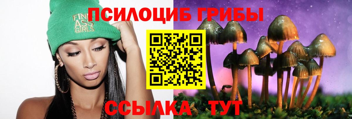 дарнет шоп  Псилоцибиновые грибы прущие грибы  Мытищи  Вход с VPN  Галлюциногенные грибы Psilocybine cubensis 